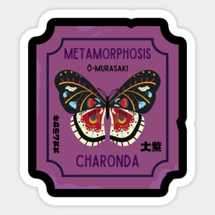 Metamorphosis of Butterfly Charonda The Great Purple Japanese Butterfly Sticker